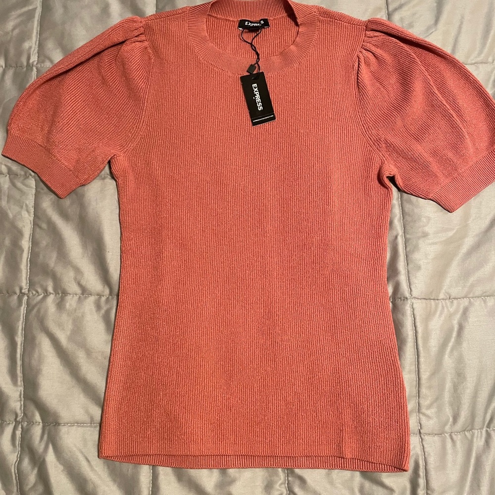 Express short sleeve sweater
